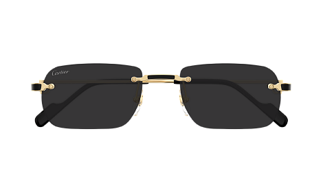 Солнцезащитные очки Cartier CT0498S-001
