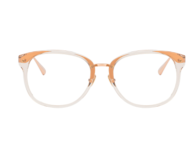 Медицинские оправы Linda Farrow Luxe LFL-1484 C03